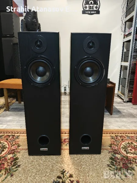 Visaton ALTO II Двулентови Тонколони, снимка 1