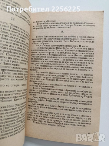 Огън в Панагюрище, снимка 3 - Художествена литература - 53392026