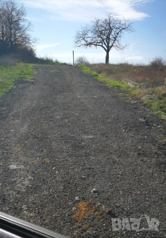 2000 м2 с.Малка Верея Стара Загора, снимка 4 - Парцели - 52670282