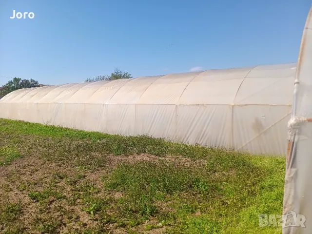 Ферми-оранжерии два размера, снимка 4 - Оранжерии - 49968385