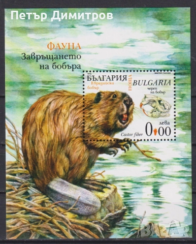 Чисти блокове Музика Рейнбоу 2025 от България, снимка 4 - Филателия - 50957941