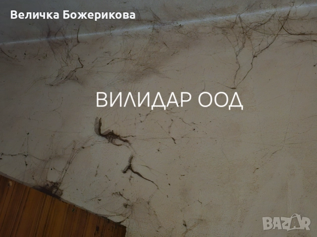 Почистване на домове, снимка 4 - Почистване на домове - 52566889