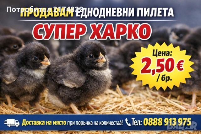 Малки пилета супер харко