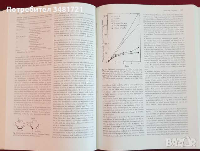 Човешката генетика - проблеми и подход / Human Genetics. Problems and Approaches, снимка 6 - Специализирана литература - 46215326