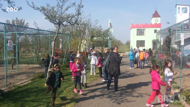 работници в зоопарк Бургас мъже, жени - 2000лв-1 022,58 €