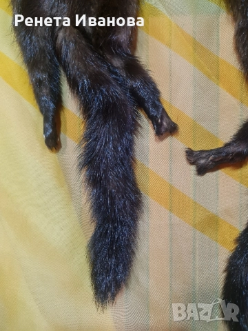 Много стара яка от норка , снимка 6 - Антикварни и старинни предмети - 52427698