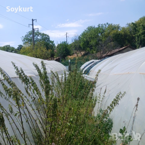 2 имота в един двор  1300М2 с 2 Оранжерии По 150м2 общо 300м2 , снимка 8 - Парцели - 50916749