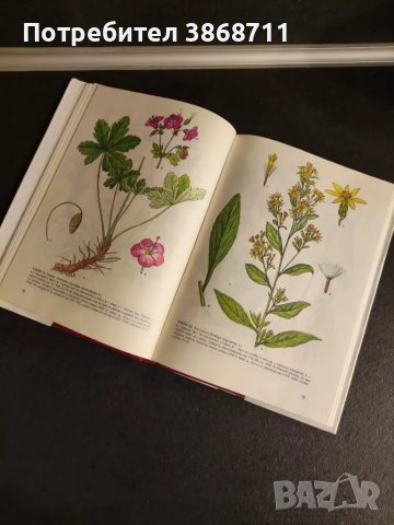 Атлас на лечебните растения в България Алекси А. Митрев Светла М. Попова, снимка 4 - Енциклопедии, справочници - 49629410