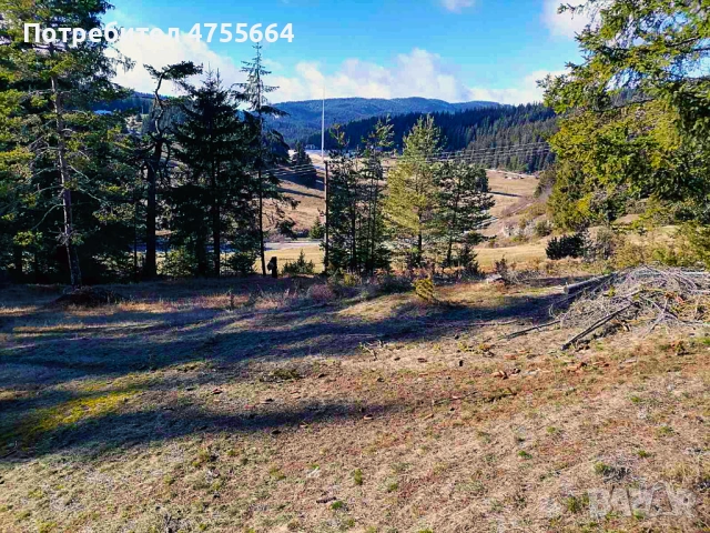 УПИ на Роженски поляни , снимка 4 - Парцели - 53716919