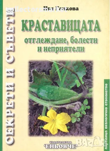 Краставицата. Отглеждане, болести и неприятели, снимка 1 - Специализирана литература - 17519769