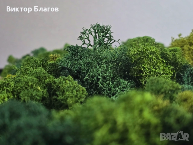 Картина от скандинавски мъх и епоксидна смола, снимка 9 - Картини - 53878637