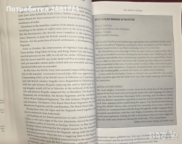 Irgun. Revisionist Zionism 1931-1948, снимка 11 - Художествена литература - 54167948