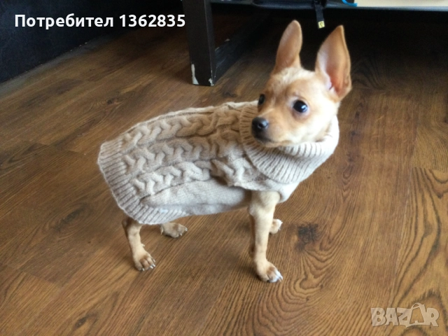 НОВ топъл бежов зимен луксозен пуловер за куче от Италия S и M размер