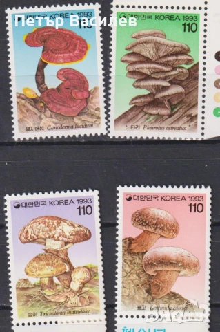    Чисти марки и блокове Флора Гъби 1993 1994 1995 1996 1997 от Южна Корея , снимка 3 - Филателия - 51109016