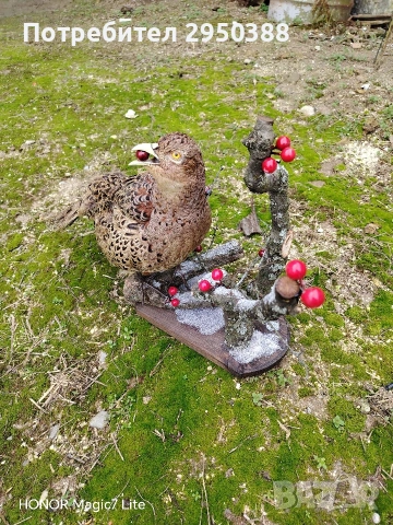 препариран фазан , снимка 4 - Декорация за дома - 53490300