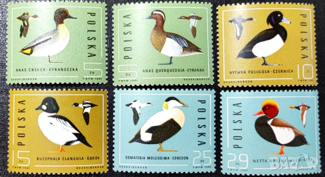 Полша, 1985 г. - лот марки на тема животни, изкуство, влакове, музика, личности, патици и др., снимка 6 - Филателия - 53306548