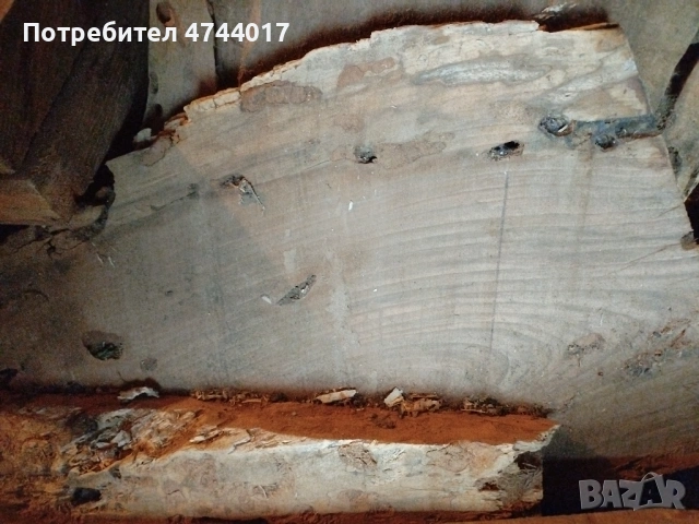 Сухи Талпи от Орех , снимка 10 - Други - 54011466