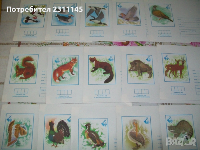 пликове за писма с животни