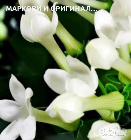 Yodeyma IRIS 100мл./Дамски парфюм, снимка 9 - Дамски парфюми - 48465375