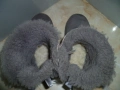UGG оригинални ботуши №38, снимка 2