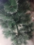 елхи , снимка 6