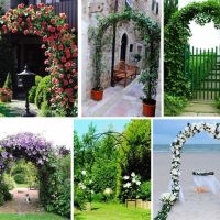 Градинска пергола арка за увивни растения, рози, цветя, сватбена арка, снимка 1 - Други - 45696430