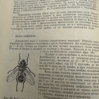 Паразитология -проф.Р.Попиванов,1974, снимка 14 - Специализирана литература - 45387072