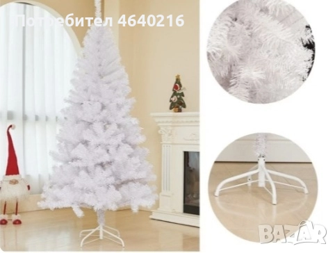 Елха, снимка 1