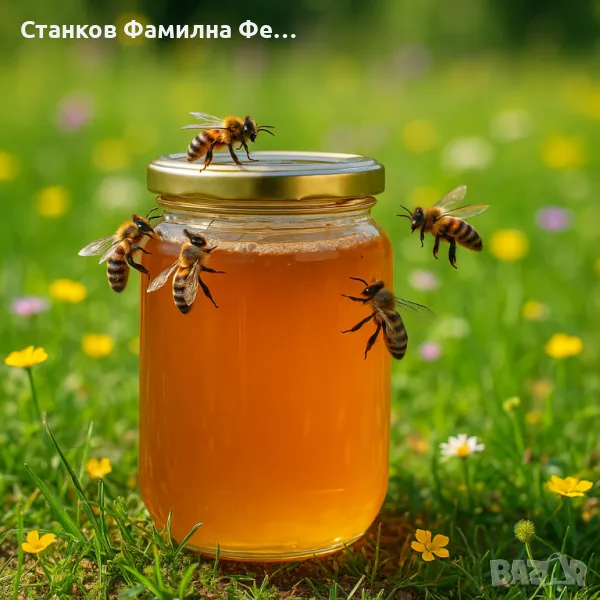Пчелен Мед 2024, снимка 1