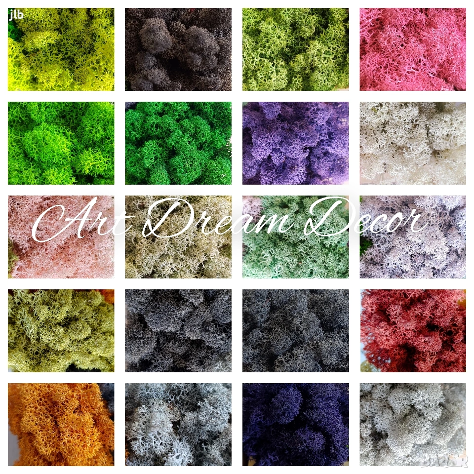 Скандинавски мъх за живи стени, пана и декорации, Премиум почистен Скандинавски мъх, снимка 1