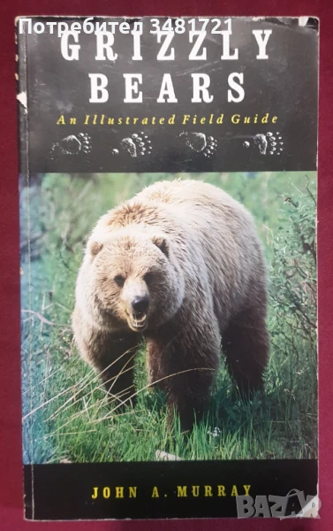 Гризли - илюстриран справочник / Grizzly Bears. An Illustrated Field Guide, снимка 1