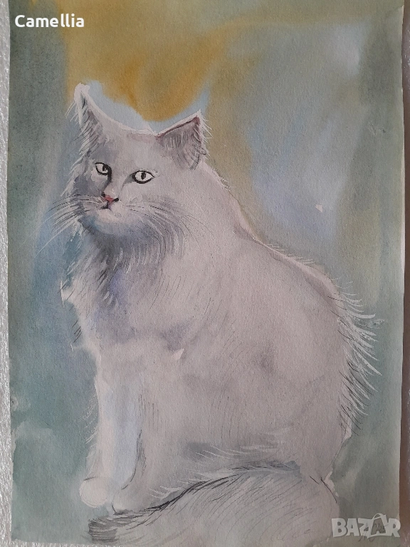 Бяла котка - акварел, снимка 1