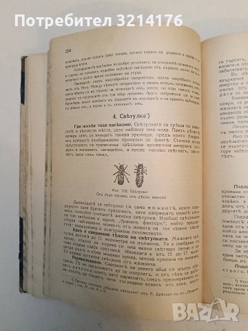 Животнитѣ от биологично гледище - Борис Митов (1935, Луксозна изработка, Отлично състояние), снимка 14 - Специализирана литература - 52773226