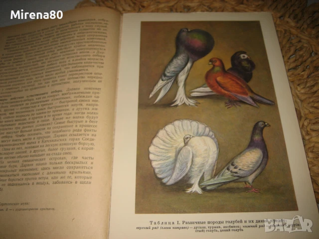 Общая биология - 1969 г., снимка 6 - Чуждоезиково обучение, речници - 50668667