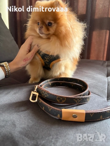 Кучешки нагръдник LV, хс размер без забележки, снимка 2 - За кучета - 53866859