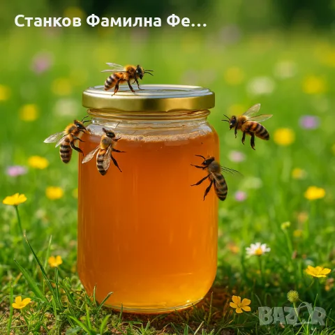 Пчелен Мед 2024, снимка 1