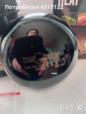 За влечуги и хамелеони и варани, снимка 11 - Други - 54015091