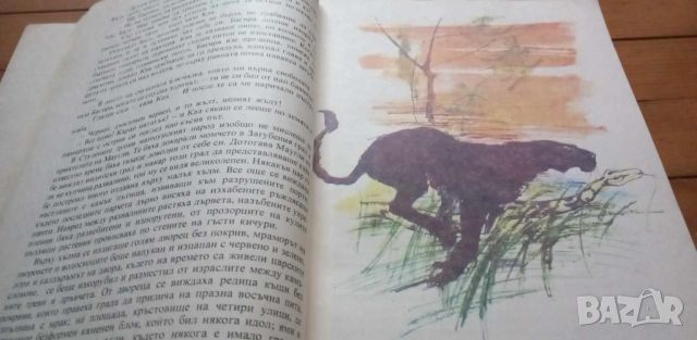 Книга за джунглата - Ръдиард Киплинг, снимка 4 - Детски книжки - 46232443