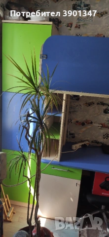 Детска секция 3 в 1, снимка 9 - Спални и легла - 54180985