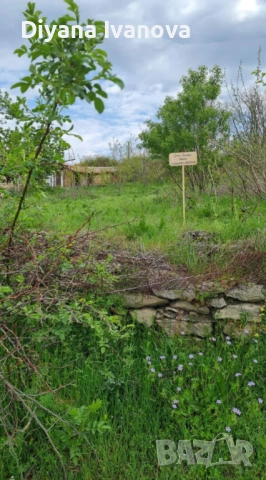 Продавам дворно място 700кв.