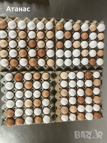 Домашни яйца, снимка 1 - Кокошки и пуйки - 46087947