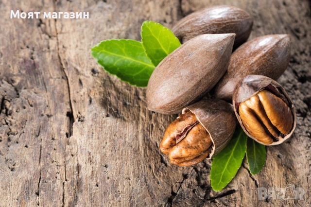 Орех Пекан - Pecan nuts, снимка 6 - Градински цветя и растения - 53631711