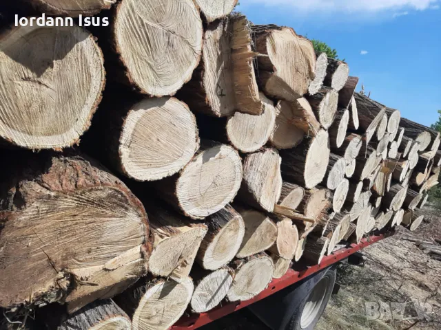 дърва за огрев метровки акация салкъм, снимка 3 - Дърва за огрев - 50423540