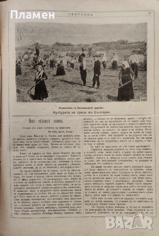 Илюстрация ''Светлина''. Кн. 2, 3, 6, 7-8, 10-11 / 1906, снимка 4 - Антикварни и старинни предмети - 46097821