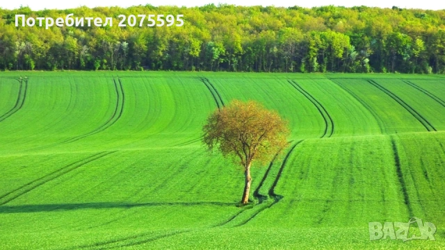 Земеделска земя с.Филипово,общ. Тополовград