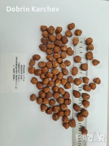 Лешник ядка, снимка 3 - Други - 53762541