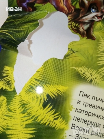 Панорамна книжка - Тревога в гората - 2015г., снимка 7 - Детски книжки - 51499786
