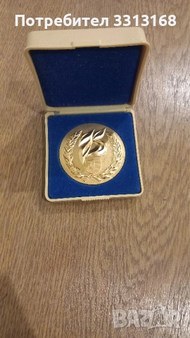 Плакет 75 години Левски Спартак 