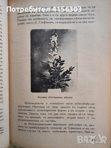 Странджа. 1938., снимка 5 - Художествена литература - 53723655