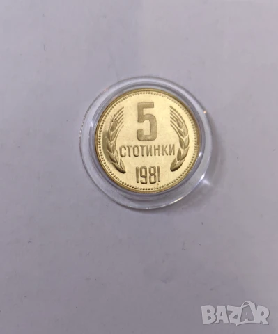 5 стотинки 1981 година - Мат-гланц / Proof, снимка 3 - Нумизматика и бонистика - 51285438
